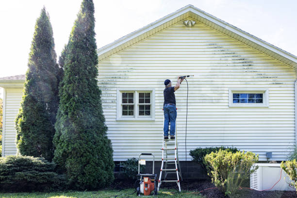 Best Roof Cleaning and Mildew Removal in Barbourville, KY